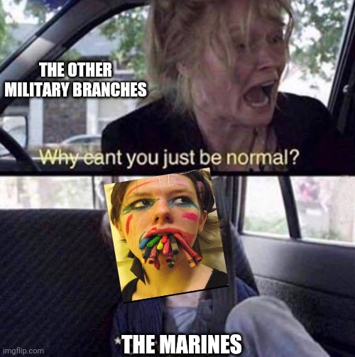 The few, The proud | THE OTHER MILITARY BRANCHES; THE MARINES | image tagged in why can't you just be normal | made w/ Imgflip meme maker