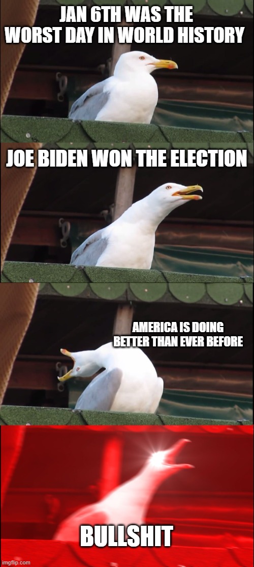 Inhaling Seagull | JAN 6TH WAS THE WORST DAY IN WORLD HISTORY; JOE BIDEN WON THE ELECTION; AMERICA IS DOING BETTER THAN EVER BEFORE; BULLSHIT | image tagged in memes,inhaling seagull | made w/ Imgflip meme maker