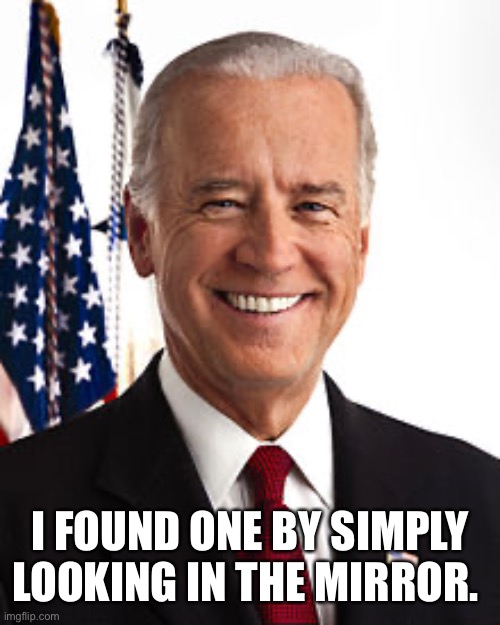 Joe Biden Meme | I FOUND ONE BY SIMPLY LOOKING IN THE MIRROR. | image tagged in memes,joe biden | made w/ Imgflip meme maker