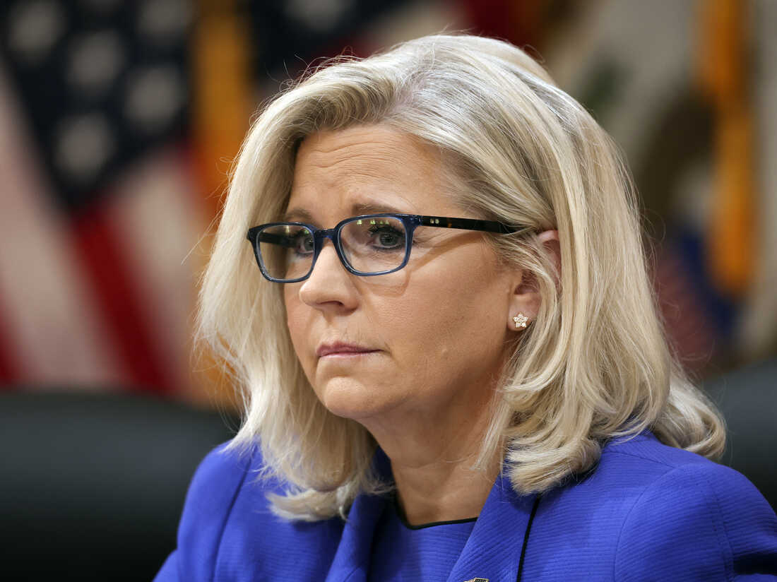 Liz Cheney Blank Meme Template