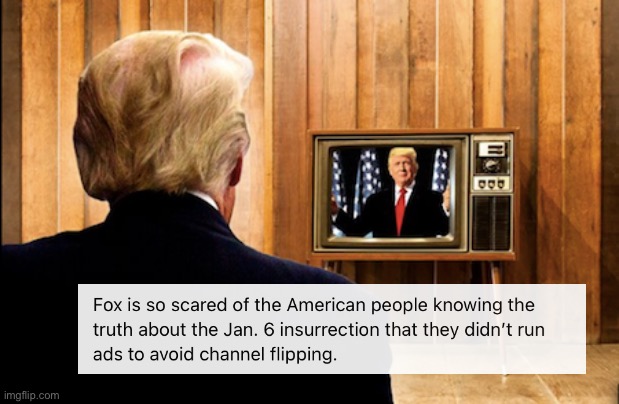 If you watched FOX News tonight, then you enjoyed an ad-free experience. Noice | image tagged in trump watching trump on tv,fox news,propaganda,jan 6,treason,insurrection | made w/ Imgflip meme maker