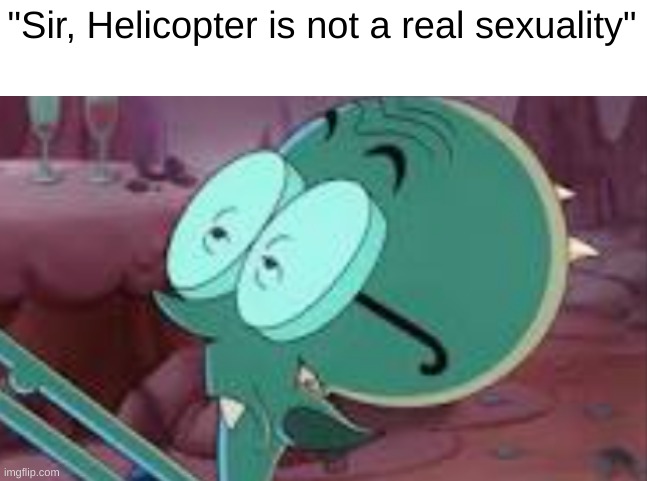 Stickler | "Sir, Helicopter is not a real sexuality" | image tagged in stickler | made w/ Imgflip meme maker