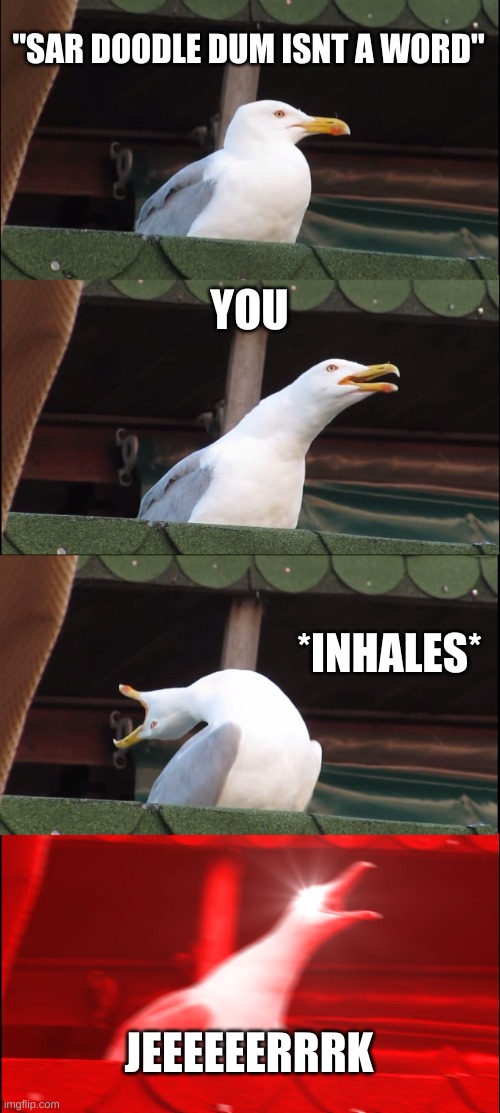 Inhaling Seagull | "SAR DOODLE DUM ISNT A WORD"; YOU; *INHALES*; JEEEEEERRRK | image tagged in memes,inhaling seagull | made w/ Imgflip meme maker