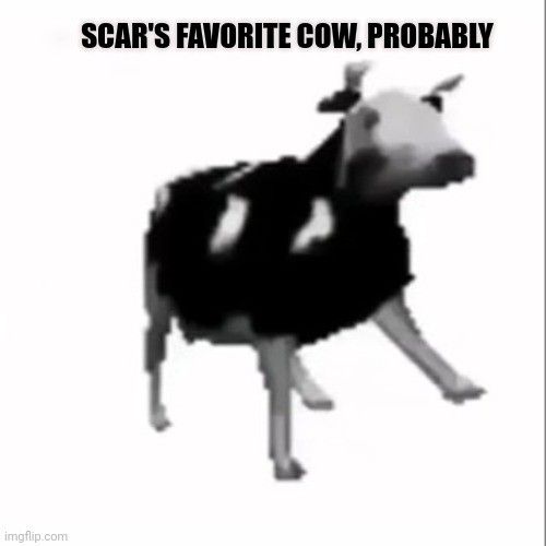 Stop touching cows, Scar | SCAR'S FAVORITE COW, PROBABLY | image tagged in dancing polish cow,scar,loves,cows | made w/ Imgflip meme maker