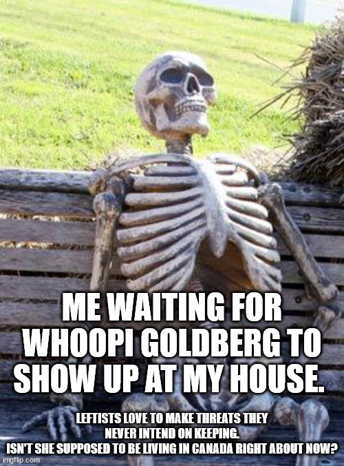 Waiting Skeleton Meme | ME WAITING FOR WHOOPI GOLDBERG TO SHOW UP AT MY HOUSE. LEFTISTS LOVE TO MAKE THREATS THEY NEVER INTEND ON KEEPING.
ISN'T SHE SUPPOSED TO BE  | image tagged in memes,waiting skeleton | made w/ Imgflip meme maker