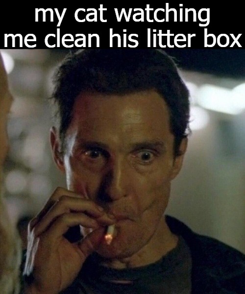 rust cohle smoking | my cat watching me clean his litter box | image tagged in rust cohle smoking | made w/ Imgflip meme maker