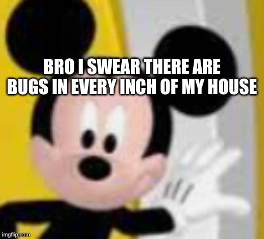 mickey mice | BRO I SWEAR THERE ARE BUGS IN EVERY INCH OF MY HOUSE | image tagged in mickey mice | made w/ Imgflip meme maker