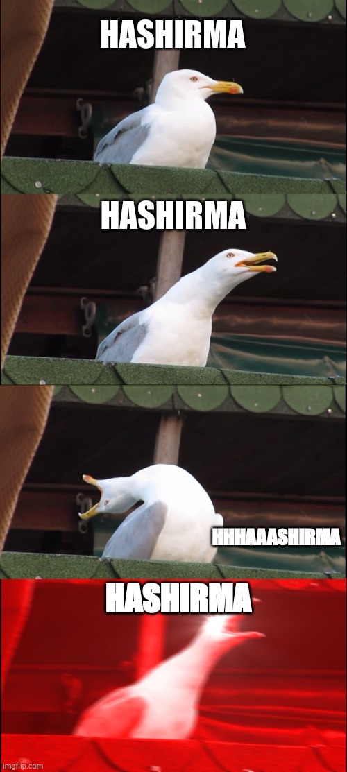 Inhaling Seagull | HASHIRMA; HASHIRMA; HHHAAASHIRMA; HASHIRMA | image tagged in memes,inhaling seagull | made w/ Imgflip meme maker