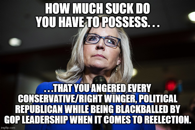 I can't think of any other elected republican that ticked off the whole of the GOP and Conservatives to the extent she has. | HOW MUCH SUCK DO YOU HAVE TO POSSESS. . . . . .THAT YOU ANGERED EVERY CONSERVATIVE/RIGHT WINGER, POLITICAL REPUBLICAN WHILE BEING BLACKBALLED BY GOP LEADERSHIP WHEN IT COMES TO REELECTION. | image tagged in liz cheney,rino,get lost | made w/ Imgflip meme maker