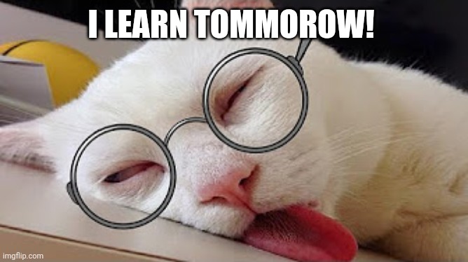 Cat sleep | I LEARN TOMMOROW! | image tagged in cat | made w/ Imgflip meme maker