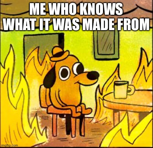 This is fine | ME WHO KNOWS WHAT IT WAS MADE FROM | image tagged in this is fine | made w/ Imgflip meme maker