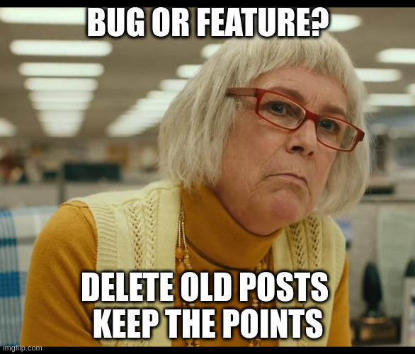 Auditor Bitch | BUG OR FEATURE? DELETE OLD POSTS 
KEEP THE POINTS | image tagged in auditor bitch | made w/ Imgflip meme maker