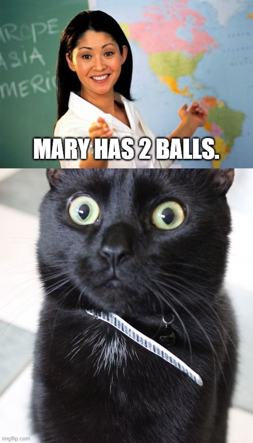 MARY HAS 2 BALLS. | image tagged in memes,unhelpful high school teacher,woah kitty | made w/ Imgflip meme maker