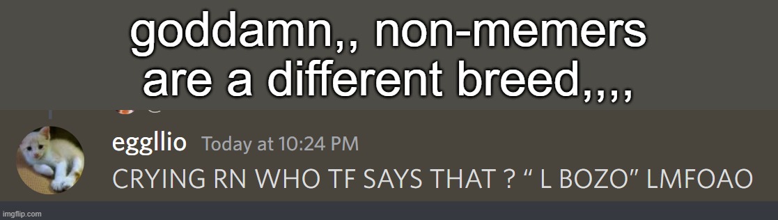I'm so used to everyone online saying it when someone irl doesn't know what it means I jus... | goddamn,, non-memers are a different breed,,,, | made w/ Imgflip meme maker