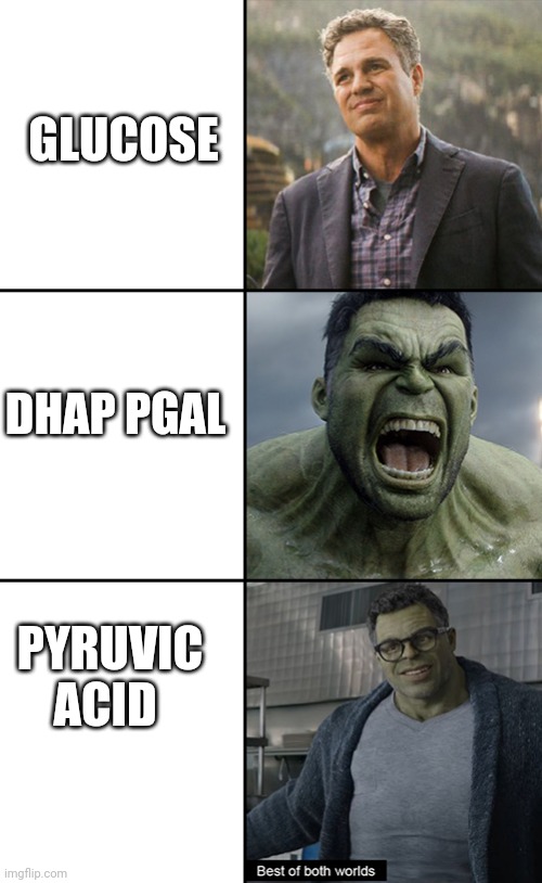 PROFESSOR HULK BEST OF BOTH WORLDS | GLUCOSE; DHAP PGAL; PYRUVIC ACID | image tagged in professor hulk best of both worlds | made w/ Imgflip meme maker