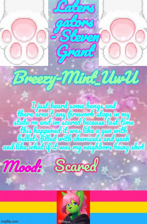 Breezy-Mint | I just heard some bangs and there aren't any firework stops in my state rn and im scared because last time this happened it was like a gun with bullets filled with chemicals and yeah and like what if it was my neighbors being shot; Scared | image tagged in breezy-mint | made w/ Imgflip meme maker