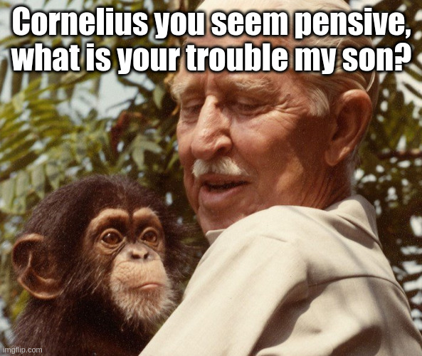 Cornelius | Cornelius you seem pensive,
what is your trouble my son? | image tagged in cornelius | made w/ Imgflip meme maker