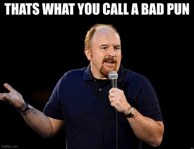 asking female guests if they brought any mayo | THATS WHAT YOU CALL A BAD PUN | image tagged in louis ck,atthispoint,jokes,self awareness | made w/ Imgflip meme maker