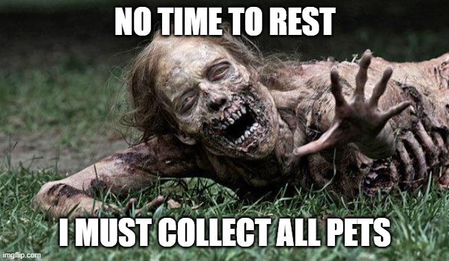 Roblox Gamers be like ... | NO TIME TO REST; I MUST COLLECT ALL PETS | image tagged in walking dead zombie | made w/ Imgflip meme maker