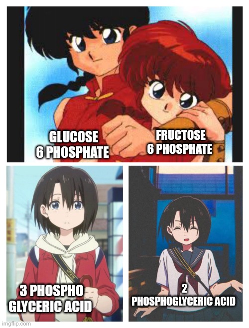 FRUCTOSE 6 PHOSPHATE; GLUCOSE 6 PHOSPHATE; 2 PHOSPHOGLYCERIC ACID; 3 PHOSPHO GLYCERIC ACID | made w/ Imgflip meme maker