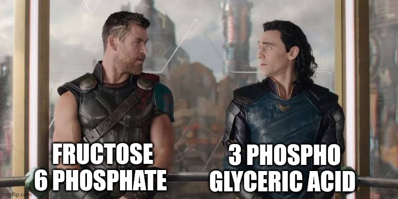 FRUCTOSE 6 PHOSPHATE; 3 PHOSPHO GLYCERIC ACID | made w/ Imgflip meme maker