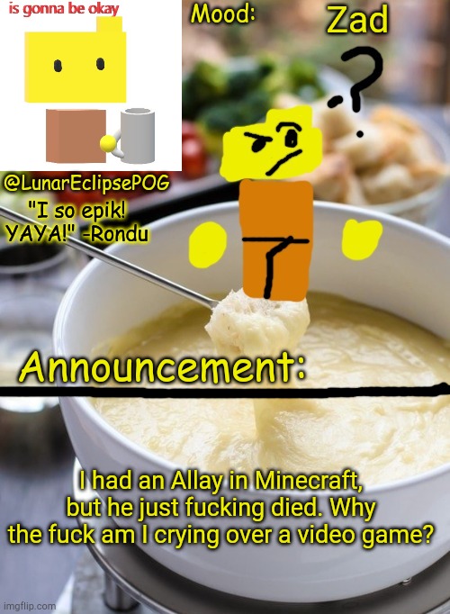 Zad | Zad; I had an Allay in Minecraft, but he just fucking died. Why the fuck am I crying over a video game? | image tagged in luna's rondu on the fondue temp 2 0 | made w/ Imgflip meme maker