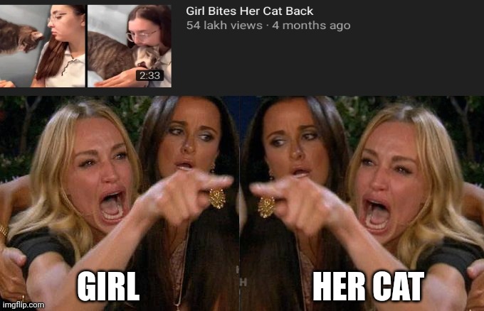 Bite of 87 | GIRL; HER CAT | image tagged in memes,meme,lady screams at cat | made w/ Imgflip meme maker