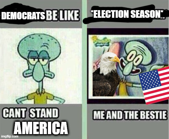 Me And The Bestie | *ELECTION SEASON*; DEMOCRATS; AMERICA | image tagged in me and the bestie | made w/ Imgflip meme maker