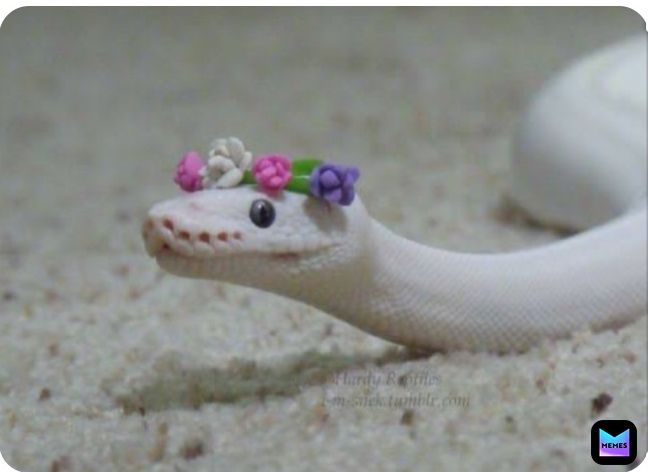 High Quality Snake Flower Venomous Cute Blank Meme Template