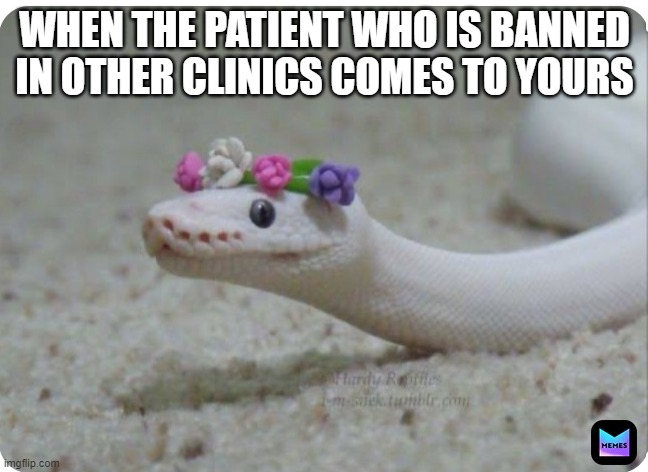 Snake Flower Venomous Cute | WHEN THE PATIENT WHO IS BANNED IN OTHER CLINICS COMES TO YOURS | image tagged in snake flower venomous cute | made w/ Imgflip meme maker