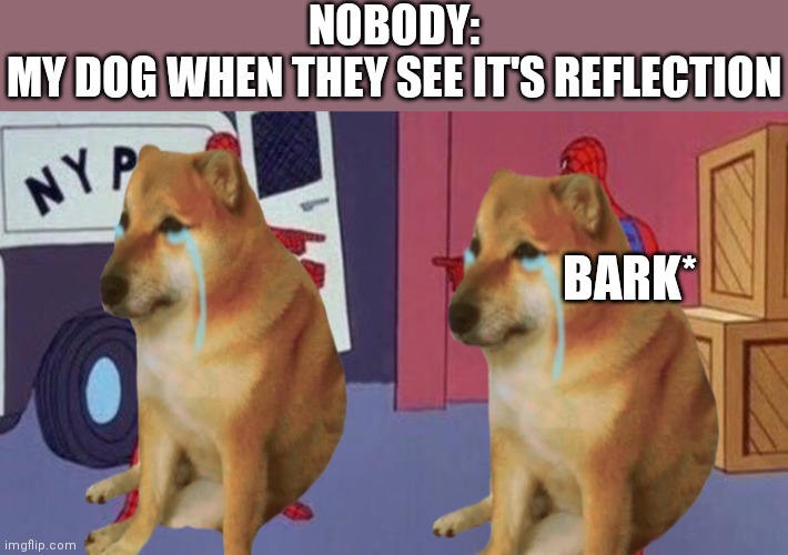 My dog does this | NOBODY:
MY DOG WHEN THEY SEE IT'S REFLECTION; BARK* | image tagged in spiderman pointing at spiderman,relatable | made w/ Imgflip meme maker