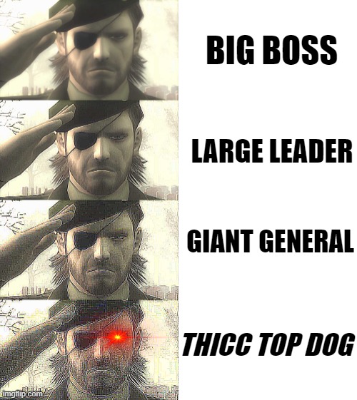 BIG BOSS; LARGE LEADER; GIANT GENERAL; THICC TOP DOG | image tagged in metal gear,big boss,memes,funny | made w/ Imgflip meme maker
