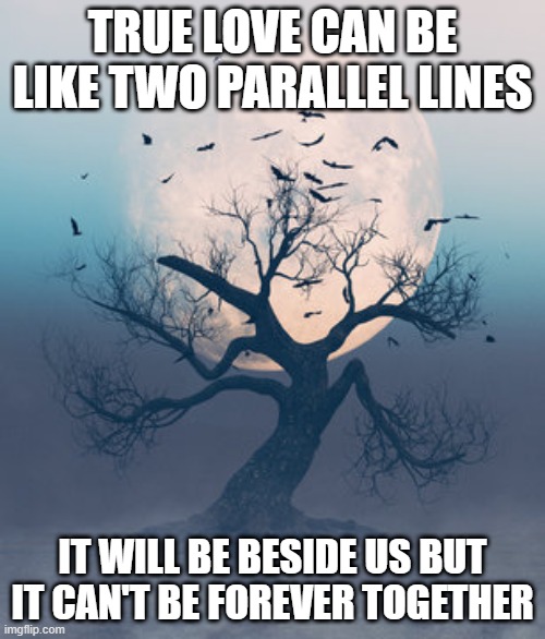 Q1 | TRUE LOVE CAN BE LIKE TWO PARALLEL LINES; IT WILL BE BESIDE US BUT IT CAN'T BE FOREVER TOGETHER | image tagged in sorrow | made w/ Imgflip meme maker