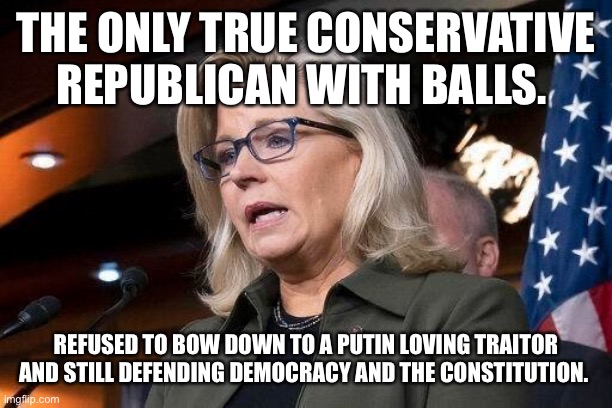 Liz Cheney | THE ONLY TRUE CONSERVATIVE REPUBLICAN WITH BALLS. REFUSED TO BOW DOWN TO A PUTIN LOVING TRAITOR AND STILL DEFENDING DEMOCRACY AND THE CONSTITUTION. | image tagged in liz cheney | made w/ Imgflip meme maker