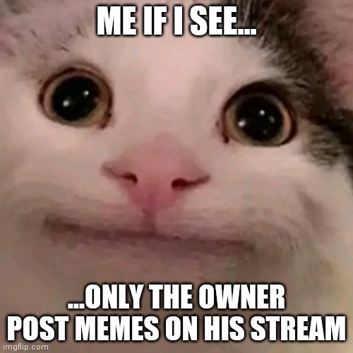 Me if i see this Stream... | ME IF I SEE... ...ONLY THE OWNER POST MEMES ON HIS STREAM | image tagged in beluga,memes,funny,imgflip,stream,youtube | made w/ Imgflip meme maker