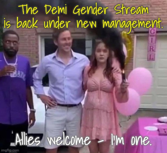 Link in comment | The Demi Gender Stream is back under new management. Allies welcome - I'm one. | image tagged in black gender reveal,lgbt,announcement,imgflip news | made w/ Imgflip meme maker