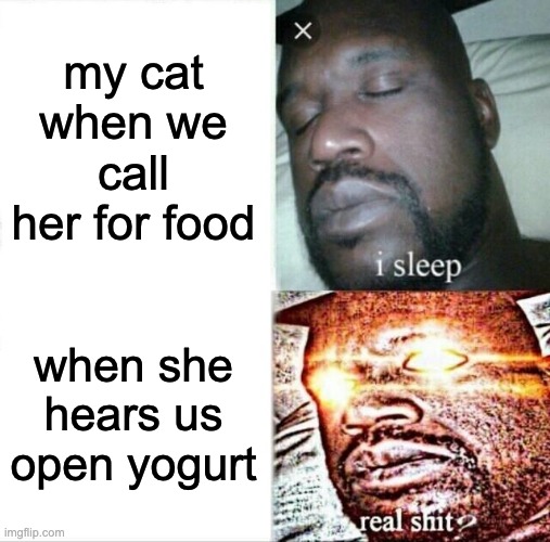 Sleeping Shaq | my cat when we call her for food; when she hears us open yogurt | image tagged in memes,sleeping shaq | made w/ Imgflip meme maker