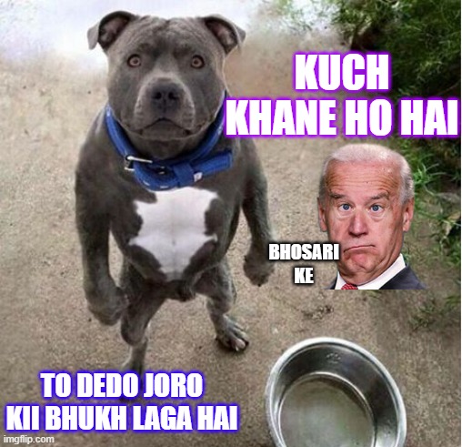 bhukkar bechara | KUCH KHANE HO HAI; BHOSARI KE; TO DEDO JORO KII BHUKH LAGA HAI | image tagged in hungry dog | made w/ Imgflip meme maker