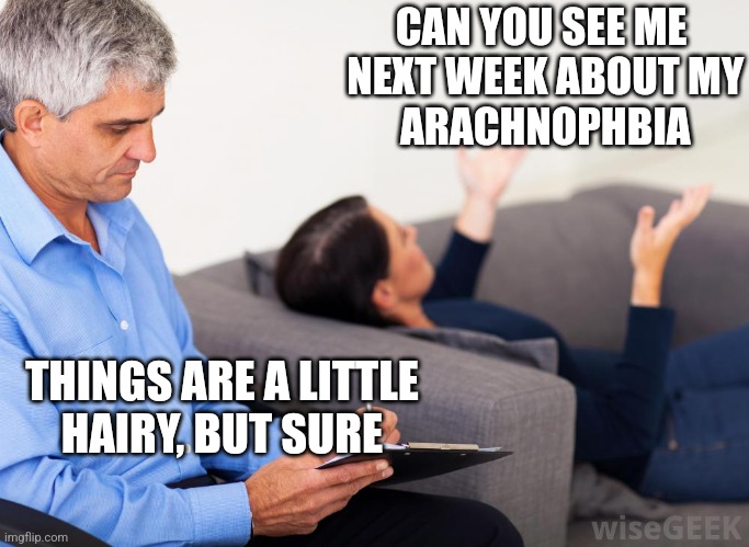 Therapist, notes | CAN YOU SEE ME
 NEXT WEEK ABOUT MY
 ARACHNOPHBIA; THINGS ARE A LITTLE
 HAIRY, BUT SURE | image tagged in therapist notes | made w/ Imgflip meme maker