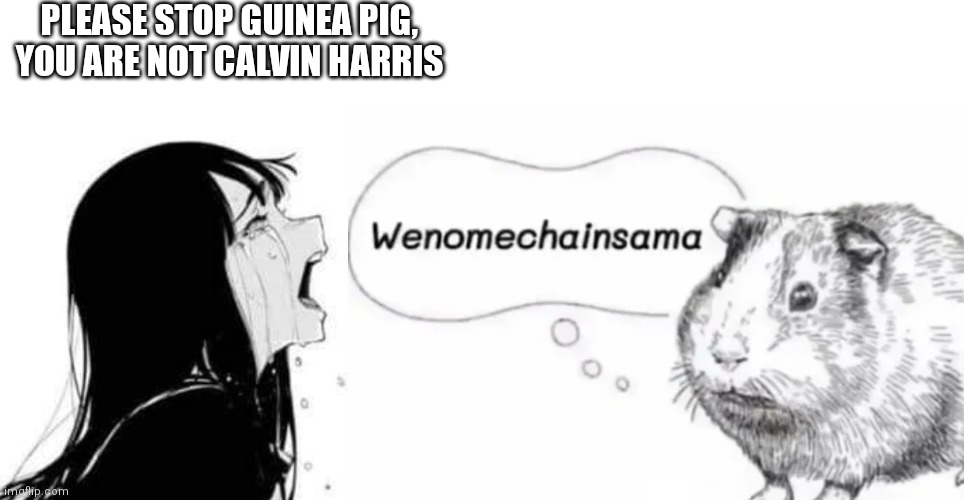Credits to the youtuber that made the wenomechainsama guinea pig | PLEASE STOP GUINEA PIG, YOU ARE NOT CALVIN HARRIS | image tagged in memes | made w/ Imgflip meme maker