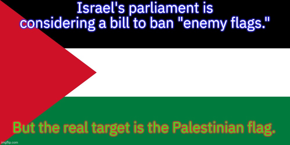 The police attacked people carrying flags at the funeral of Shireen Abu Aqla. |  Israel's parliament is considering a bill to ban "enemy flags."; But the real target is the Palestinian flag. | image tagged in palestine,islamophobia,racism,oppression,symbolism | made w/ Imgflip meme maker