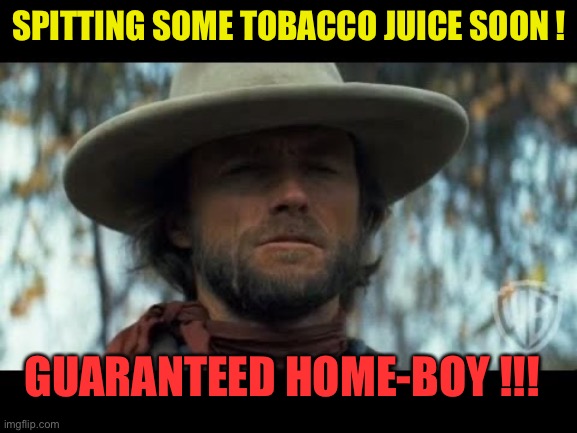 OUTLAW | SPITTING SOME TOBACCO JUICE SOON ! GUARANTEED HOME-BOY !!! | image tagged in josey wales | made w/ Imgflip meme maker