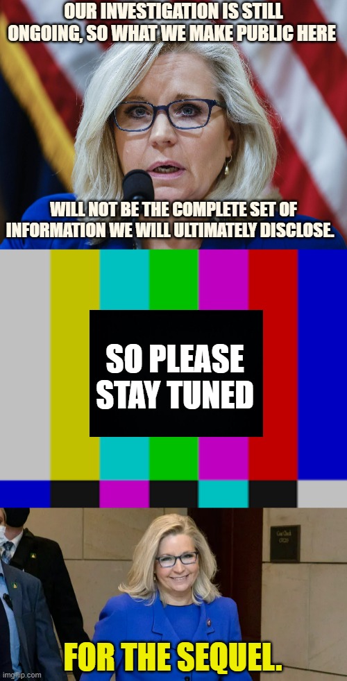 Politicians Who Want To Be T.V. Stars | OUR INVESTIGATION IS STILL ONGOING, SO WHAT WE MAKE PUBLIC HERE; WILL NOT BE THE COMPLETE SET OF INFORMATION WE WILL ULTIMATELY DISCLOSE. SO PLEASE STAY TUNED; FOR THE SEQUEL. | image tagged in memes,politics,hearing,tv,star,wannabe | made w/ Imgflip meme maker