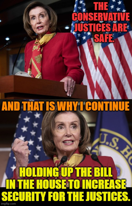 It Really Makes You Wonder | THE CONSERVATIVE JUSTICES ARE     SAFE. AND THAT IS WHY I CONTINUE; HOLDING UP THE BILL IN THE HOUSE TO INCREASE SECURITY FOR THE JUSTICES. | image tagged in memes,conservatives,nancy pelosi,supreme court,no,iincreased security | made w/ Imgflip meme maker