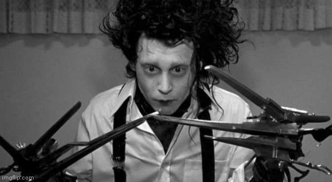 Edward Scissorhands | image tagged in edward scissorhands | made w/ Imgflip meme maker