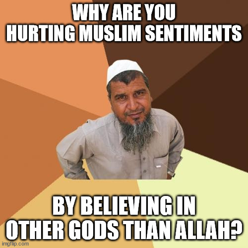 Muslim man logic | WHY ARE YOU HURTING MUSLIM SENTIMENTS; BY BELIEVING IN OTHER GODS THAN ALLAH? | image tagged in memes,ordinary muslim man | made w/ Imgflip meme maker