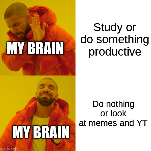 . | Study or do something productive; MY BRAIN; Do nothing or look at memes and YT; MY BRAIN | image tagged in memes,drake hotline bling | made w/ Imgflip meme maker