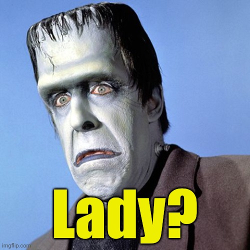 Herman Munster | Lady? | image tagged in herman munster | made w/ Imgflip meme maker