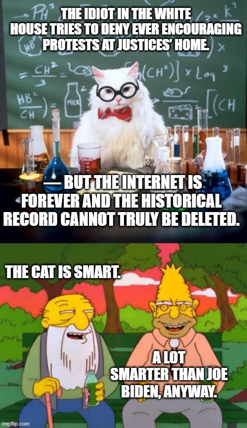 When a cat is smarter than the president, a nation is in trouble. | THE IDIOT IN THE WHITE HOUSE TRIES TO DENY EVER ENCOURAGING PROTESTS AT JUSTICES’ HOME. — BUT THE INTERNET IS FOREVER AND THE HISTORICAL RECORD CANNOT TRULY BE DELETED. THE CAT IS SMART. A LOT SMARTER THAN JOE BIDEN, ANYWAY. | image tagged in chemistry cat | made w/ Imgflip meme maker