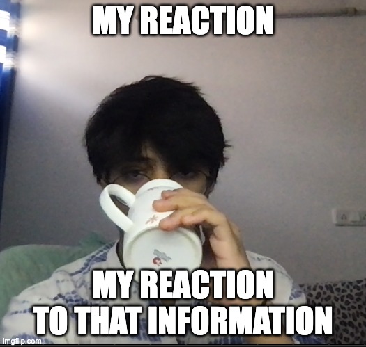 MY REACTION; MY REACTION TO THAT INFORMATION | made w/ Imgflip meme maker